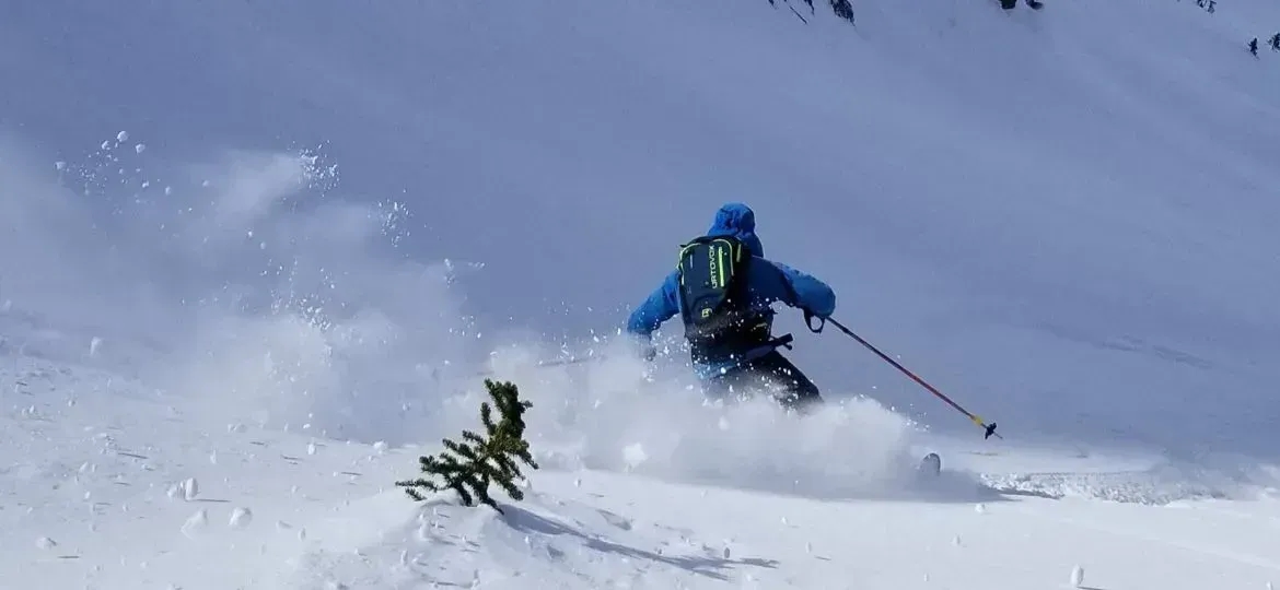 FISCHER HANNIBAL 100 フィッシャー 山スキー Fischer Hannibal 100 Skis