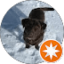 client avatar
