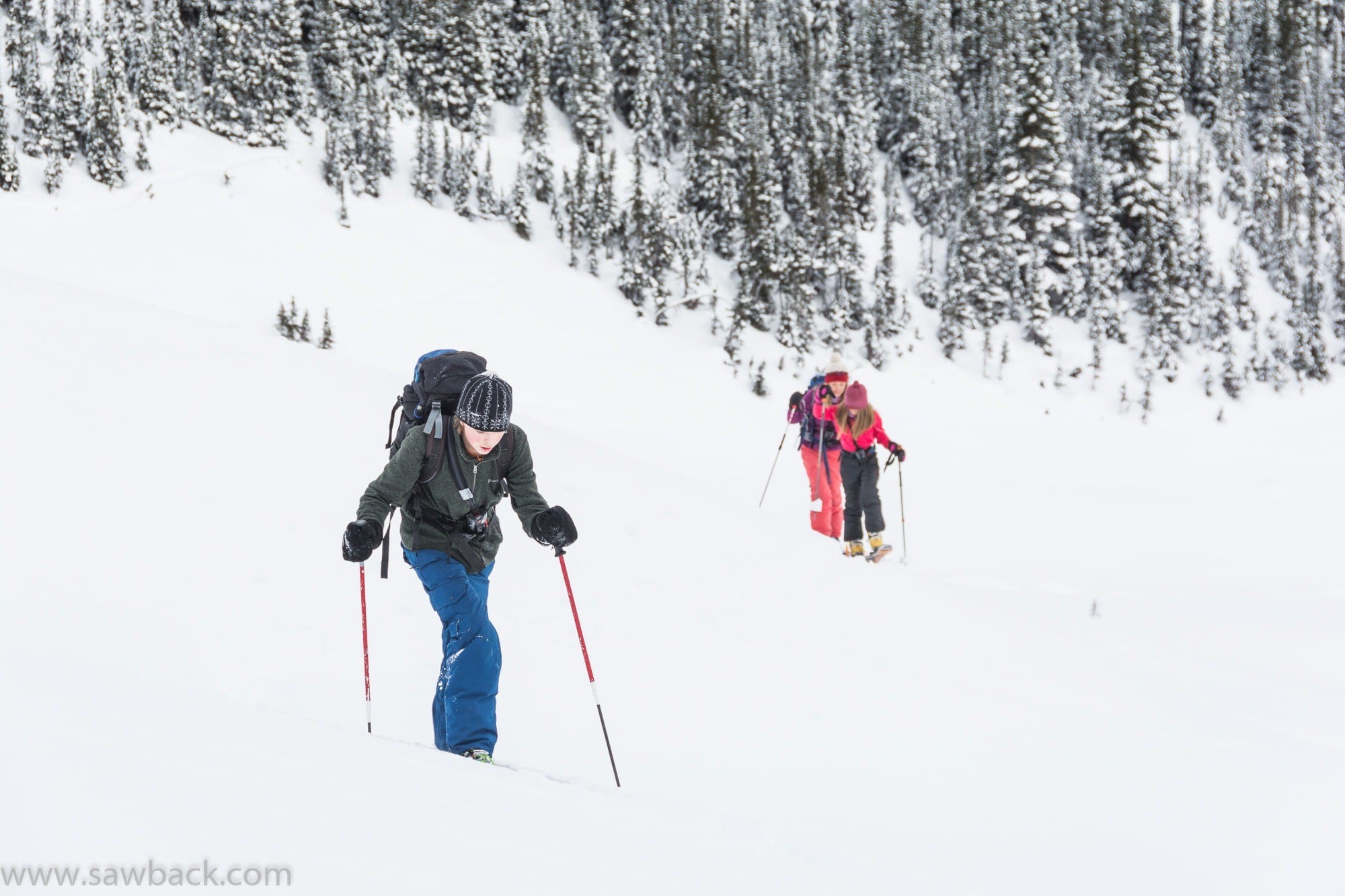 alpine adventures side by side