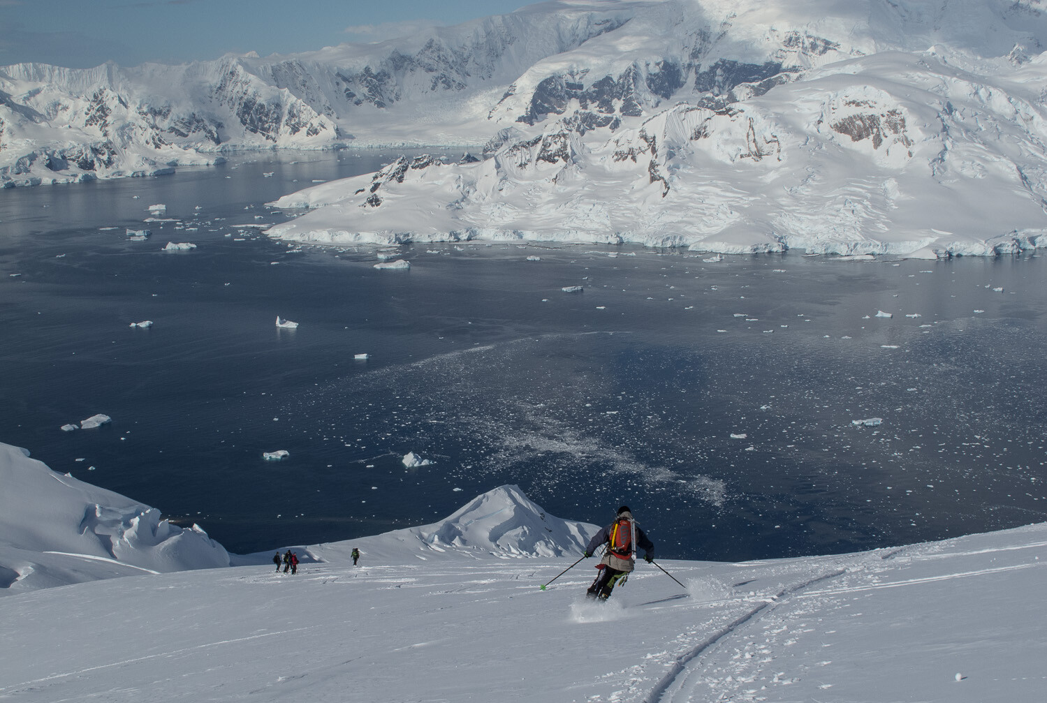 Antarctica - Wickens